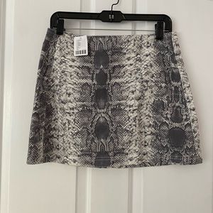 BDG Skirt